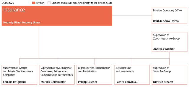 Insurance division organisation chart